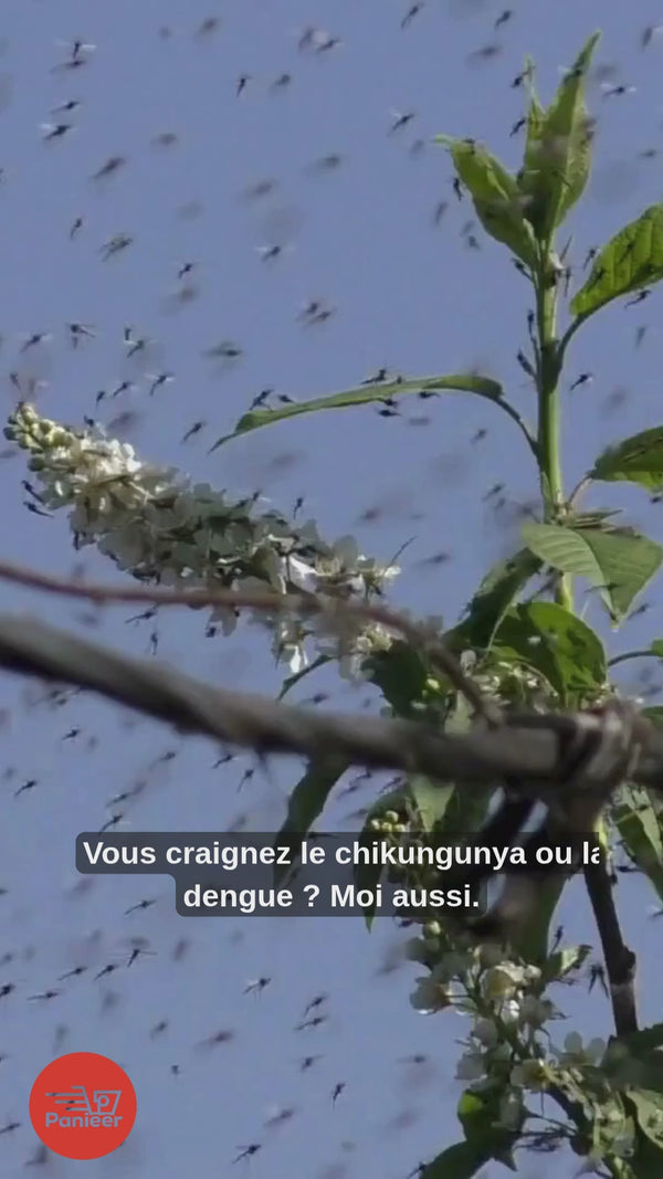 Moustiquaire Sur Mesure pour Porte