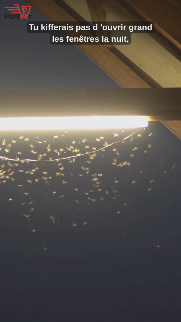 Moustiquaire Sur Mesure pour Fenêtres